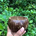 bowl_medium